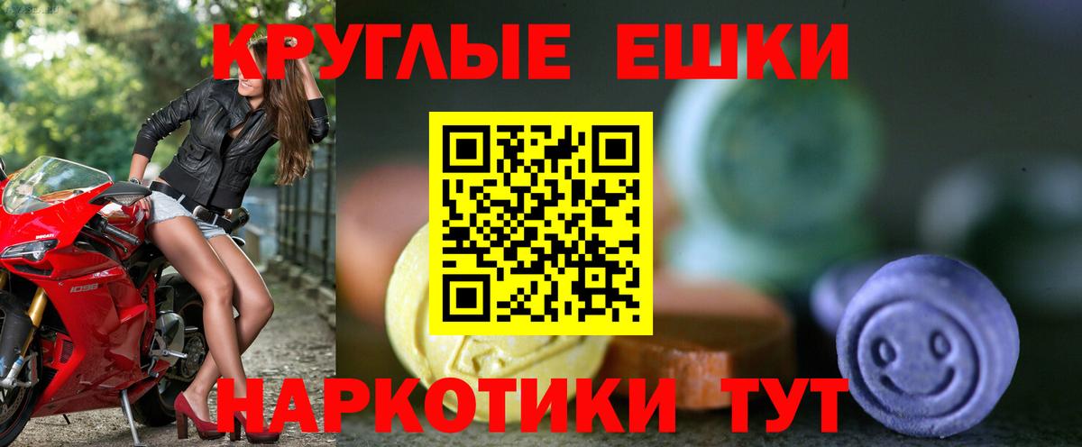 Ecstasy Philipp Plein Сегежа