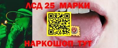 ешки Моздок